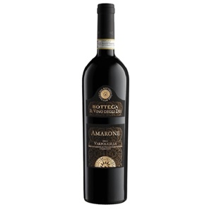 Picture of Bottega Amarone Valpolicella DOCG 750ml